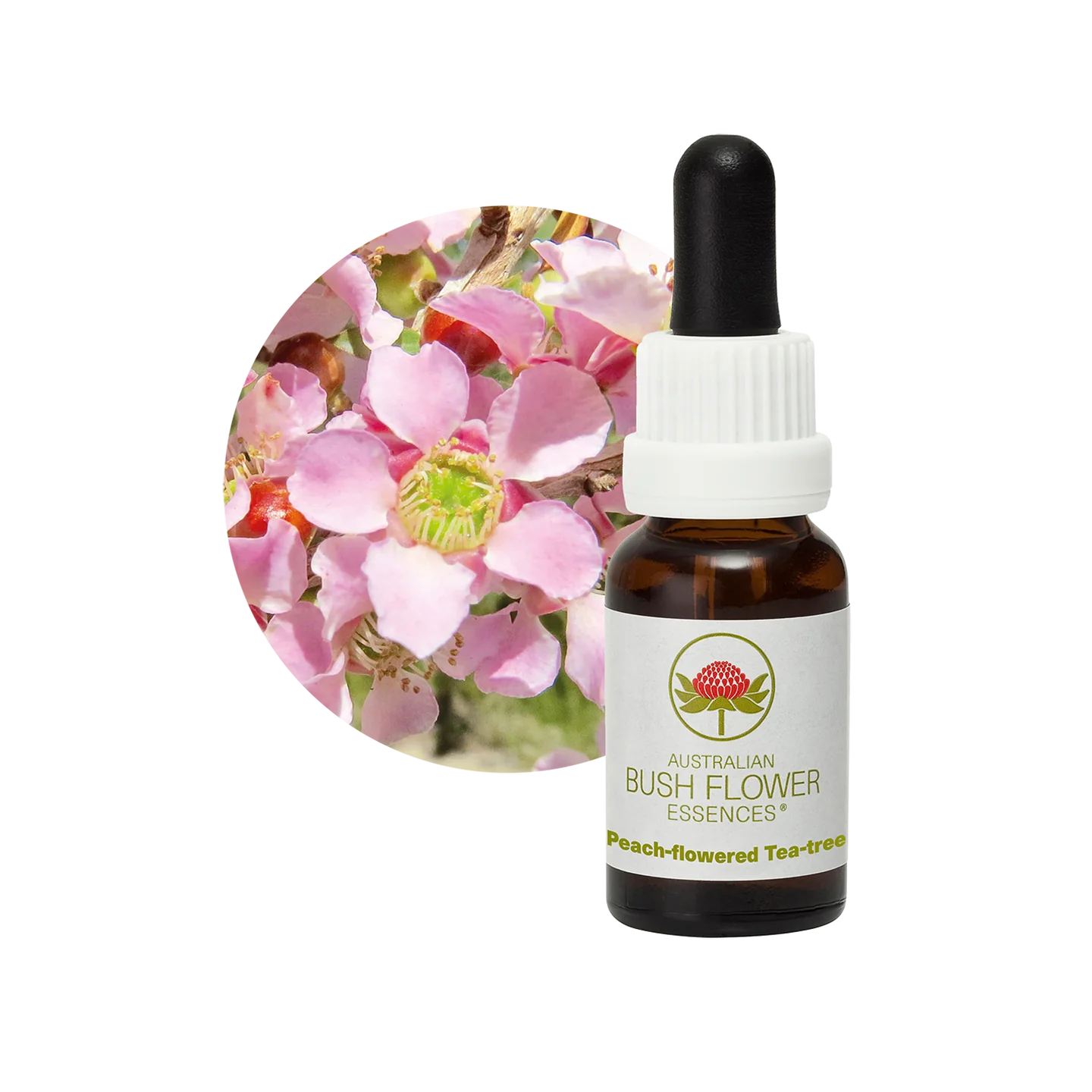 Peach-flowered Tea-tree 30ml image 0