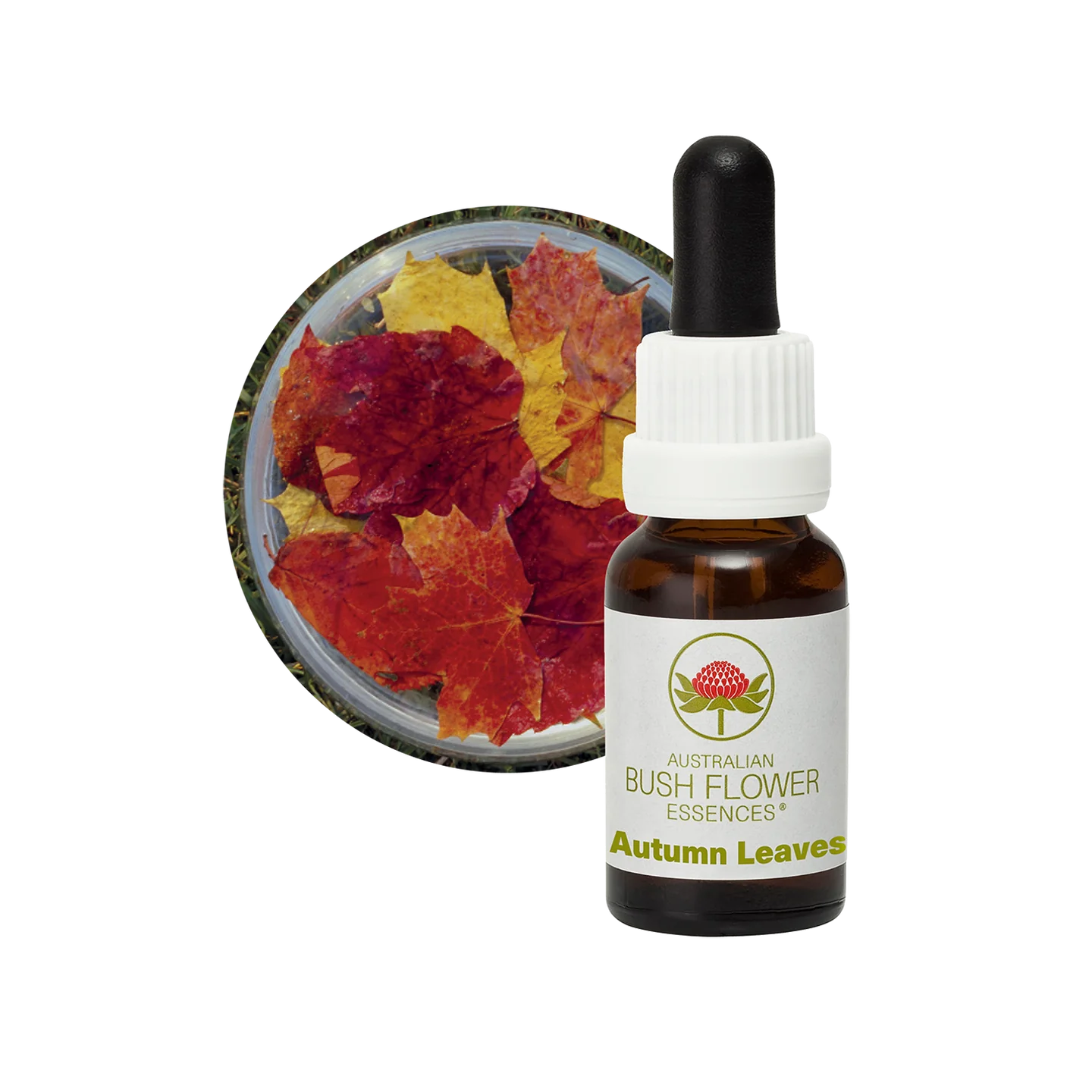Autumn Leaves 30ml image 0