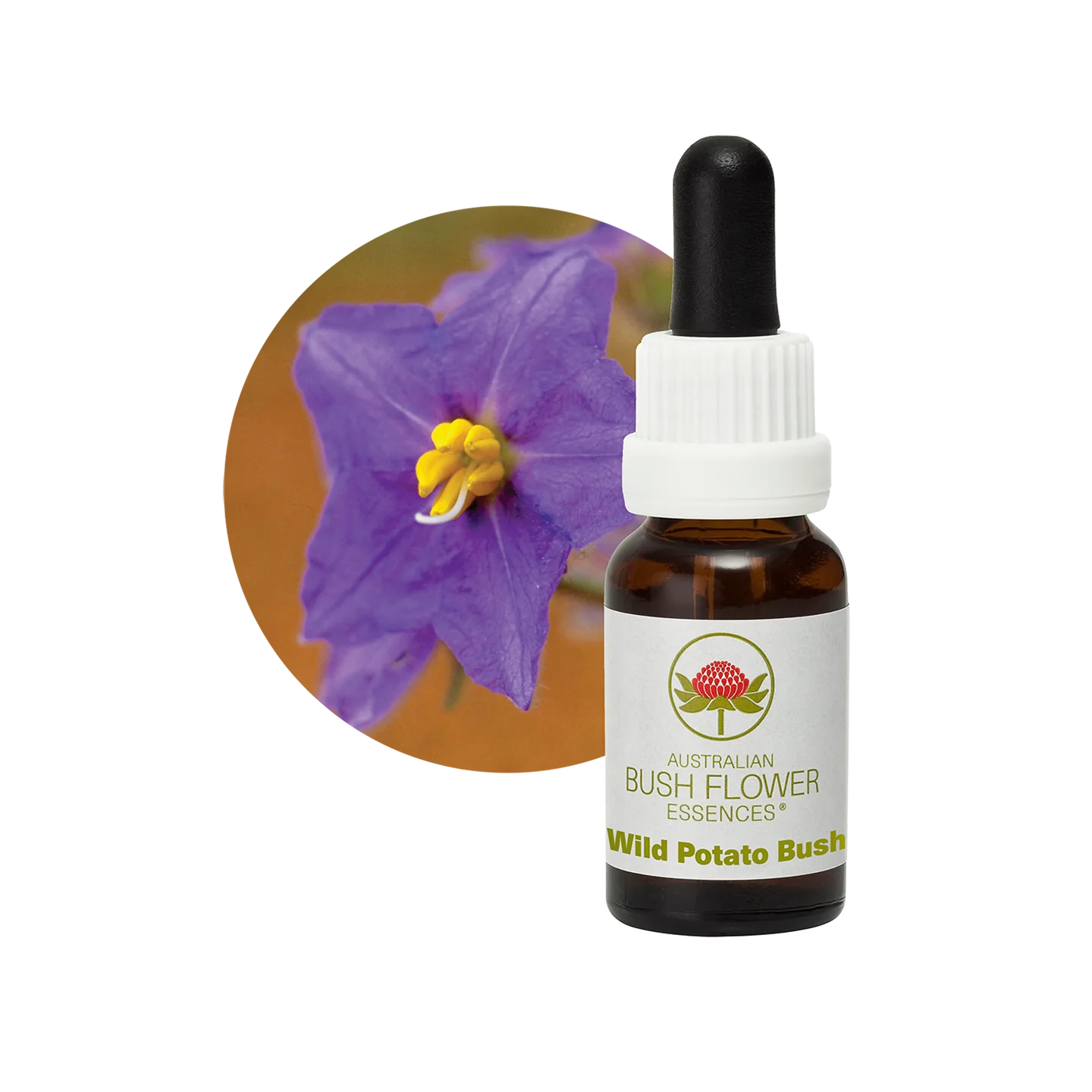 Wild Potato Bush 30ml image 0