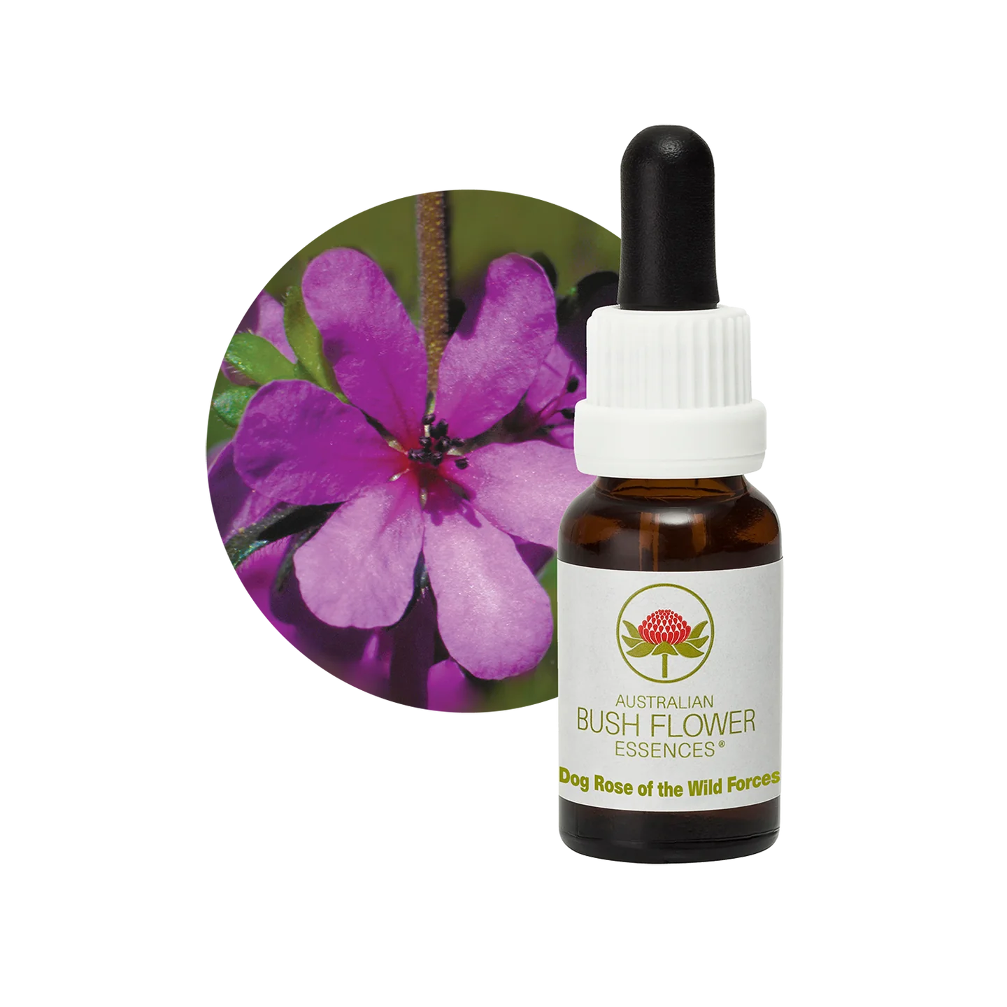 Dog Rose of the Wild Forces 30ml image 0