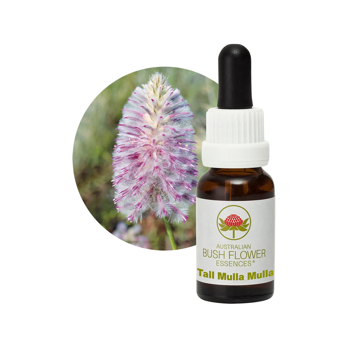 Tall Mulla Mulla 30ml image 0