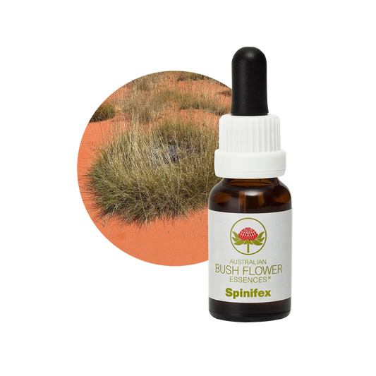 Spinifex 30ml image 0