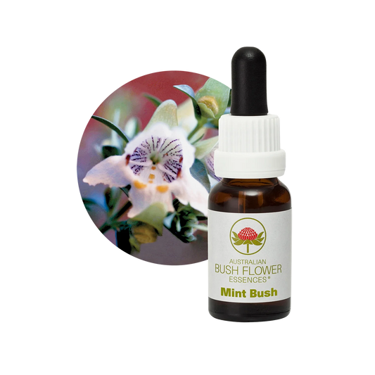 Mint Bush 30ml image 0