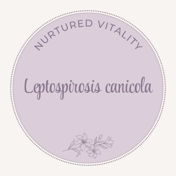 Leptospirosis canicola Nosode