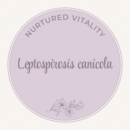 Leptospirosis canicola Nosode