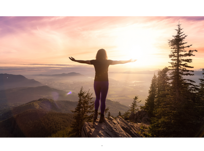 Adult’s Healy Harmony Session