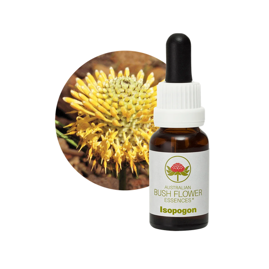 Isopogon 30ml image 0