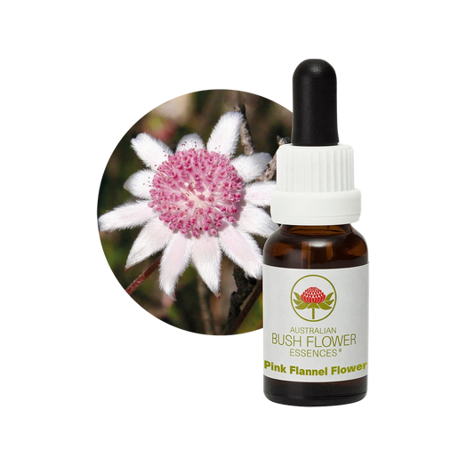 Pink Flannel Flower 30ml image 0