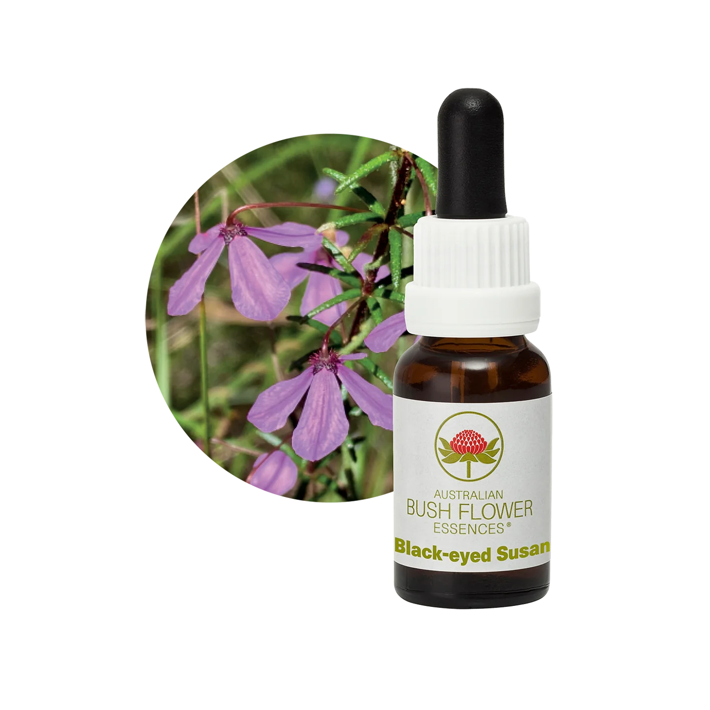 Black-eyed Susan 30ml image 0