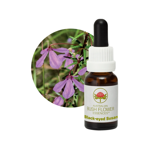 Black-eyed Susan 30ml image 0
