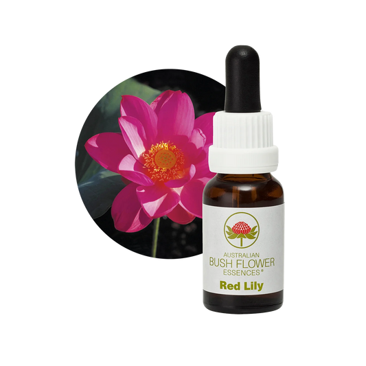 Red Lily 30ml image 0