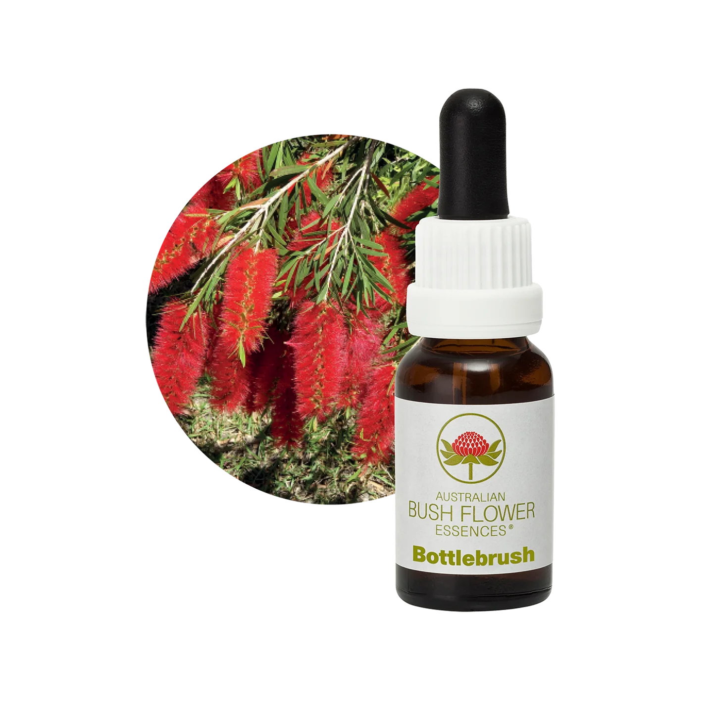 Bottlebrush 30ml image 0