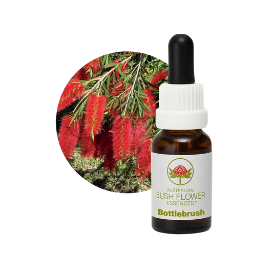 Bottlebrush 30ml image 0