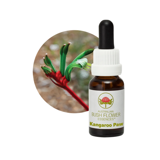 Kangaroo Paw 30ml image 0