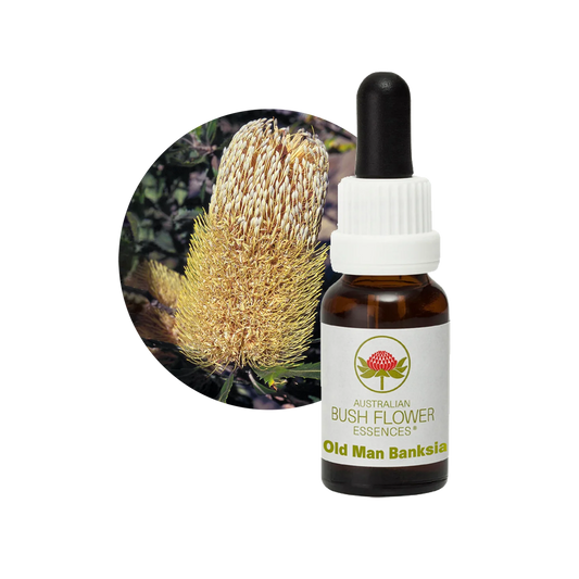 Old Man Banksia 30ml image 0
