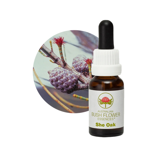 She Oak 30ml image 0