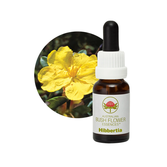 Hibbertia 30ml image 0