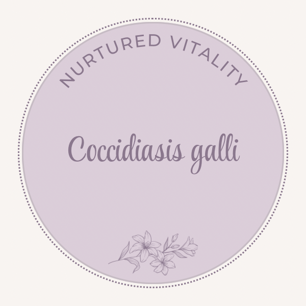 Coccidiasis galli Nosode