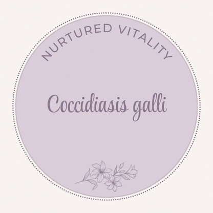 Coccidiasis galli Nosode