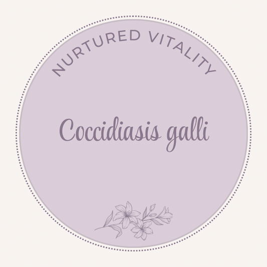 Coccidiasis galli Nosode