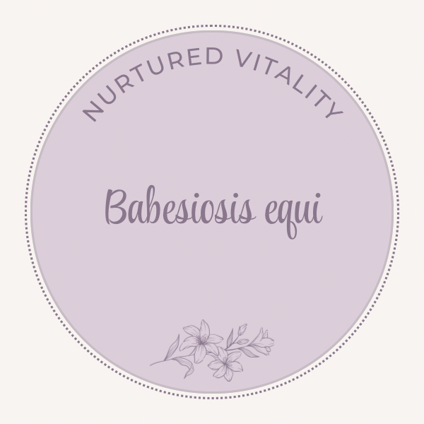 Babesiosis equi nosode