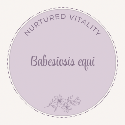 Babesiosis equi nosode