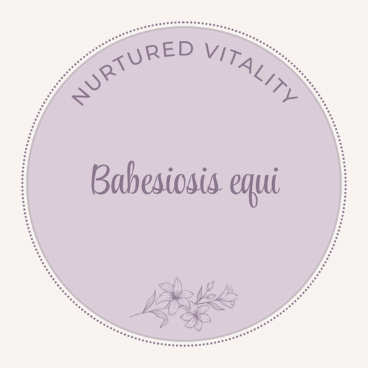 Babesiosis equi nosode