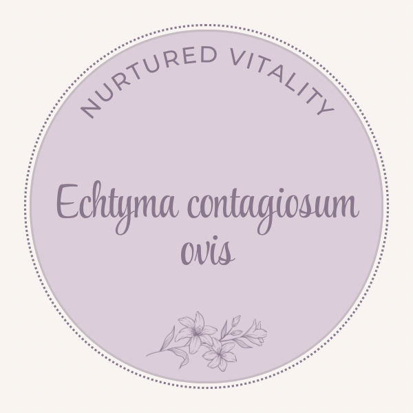 Echtyma contagiosum ovis Nosode