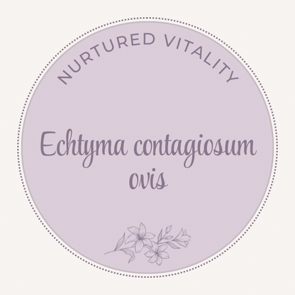 Echtyma contagiosum ovis Nosode