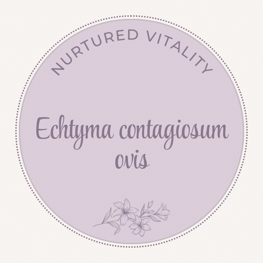 Echtyma contagiosum ovis Nosode
