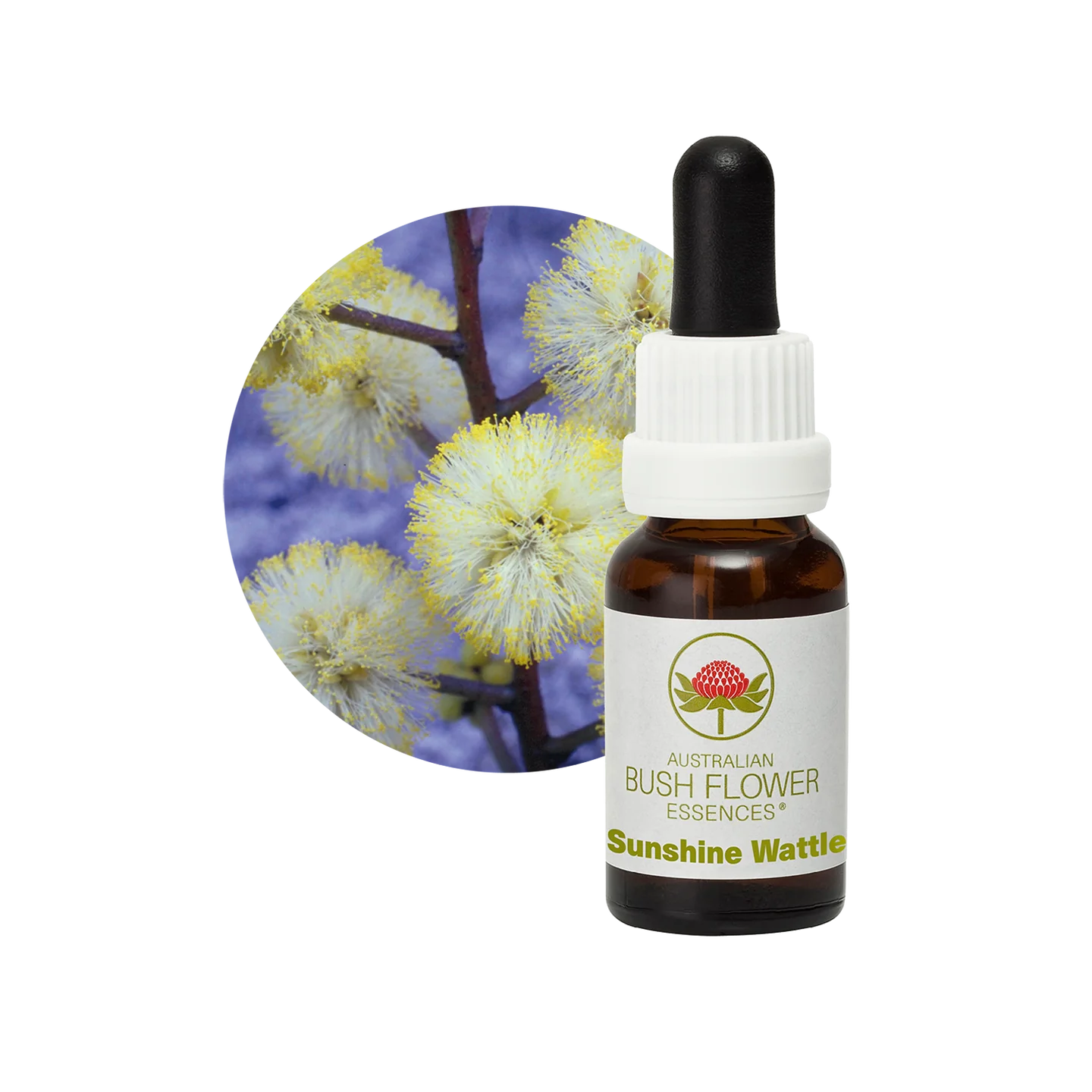 Sunshine Wattle 30ml image 0