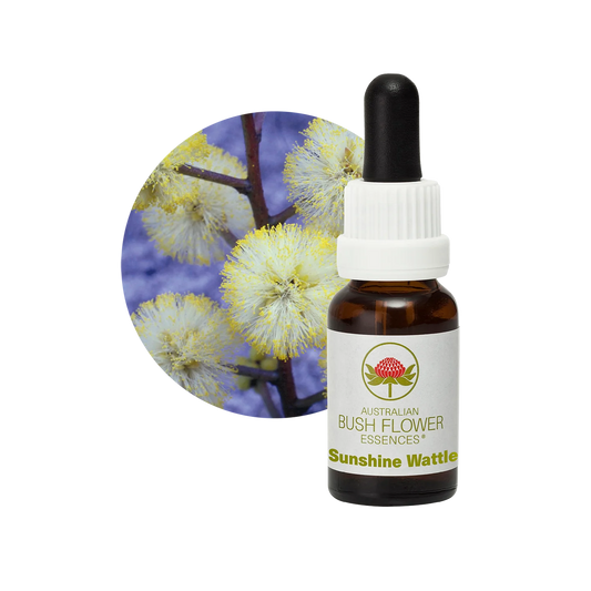 Sunshine Wattle 30ml image 0