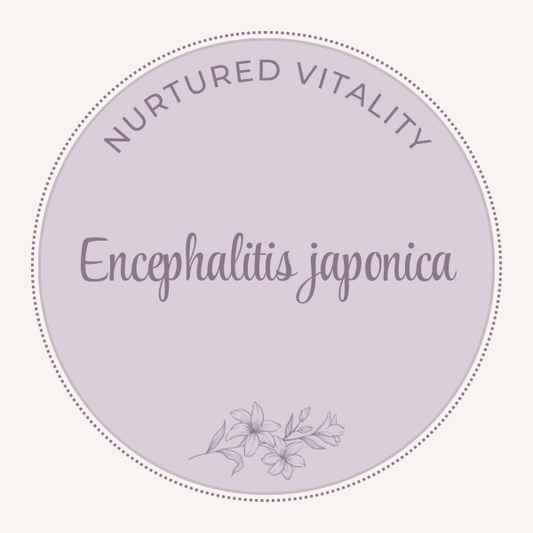 Encephalitis japonica Nosode