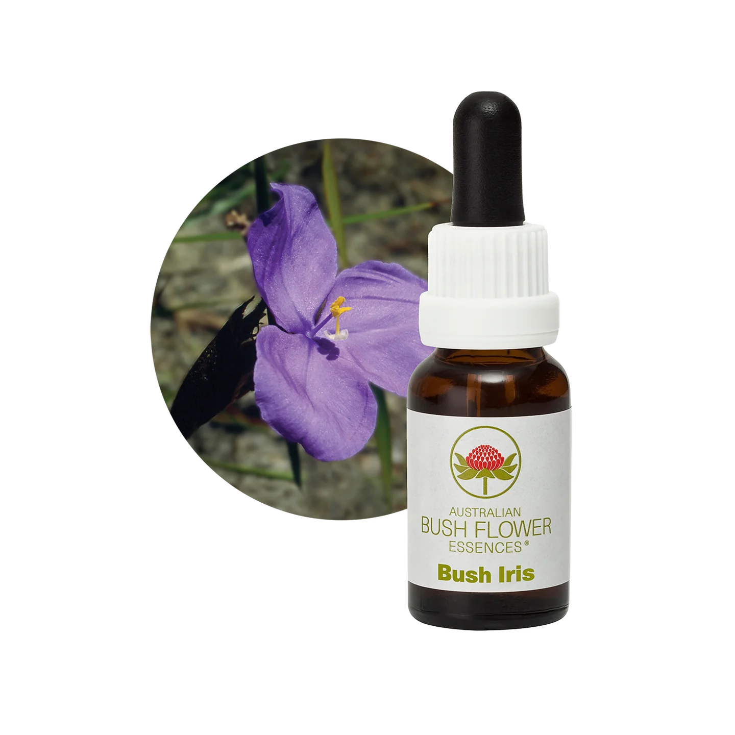 Bush Iris 30ml image 0