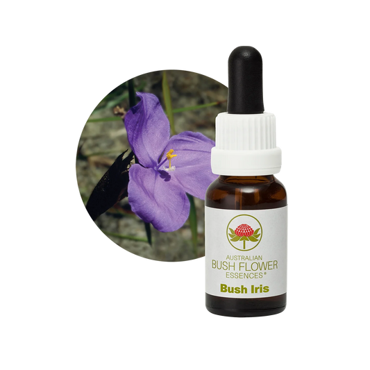 Bush Iris 30ml image 0