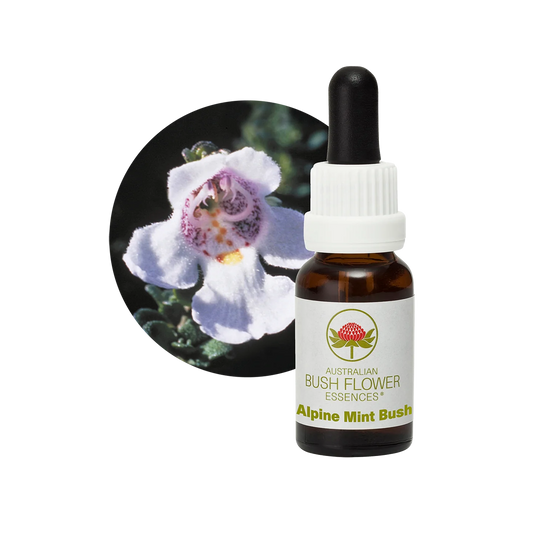 Alpine Bush Mint 30ml image 0