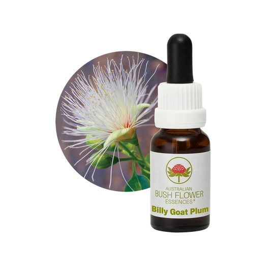 Billy Goat Plum 30ml image 0