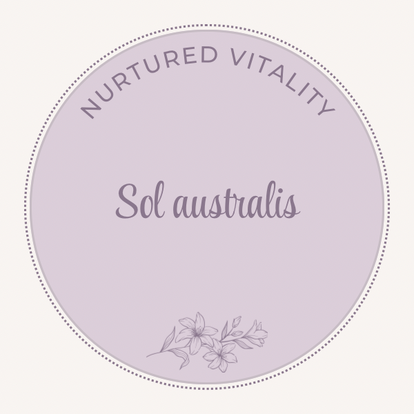 Sol australis / Southern Hemisphere Sun Rays