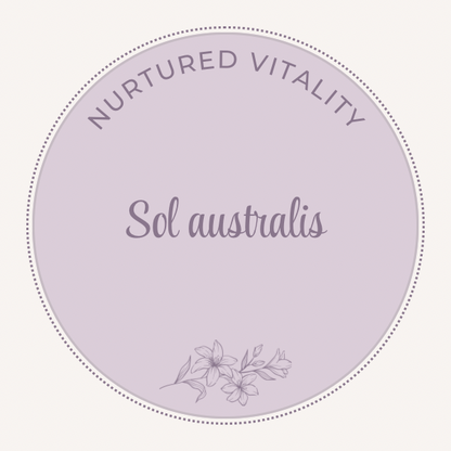 Sol australis / Southern Hemisphere Sun Rays