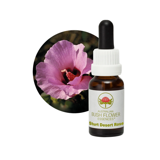 Sturt Desert Rose 30ml image 0