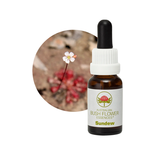 Sundew 30ml image 0