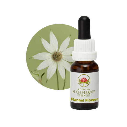 Flannel Flower 30ml image 0