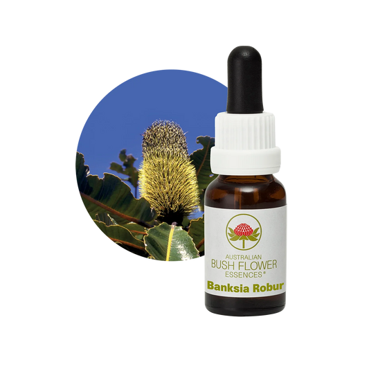 Banksia Robur 30ml image 0