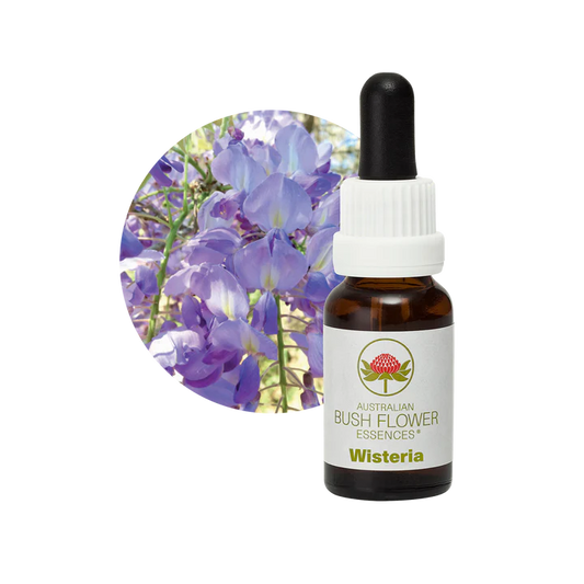 Wisteria 30ml image 0