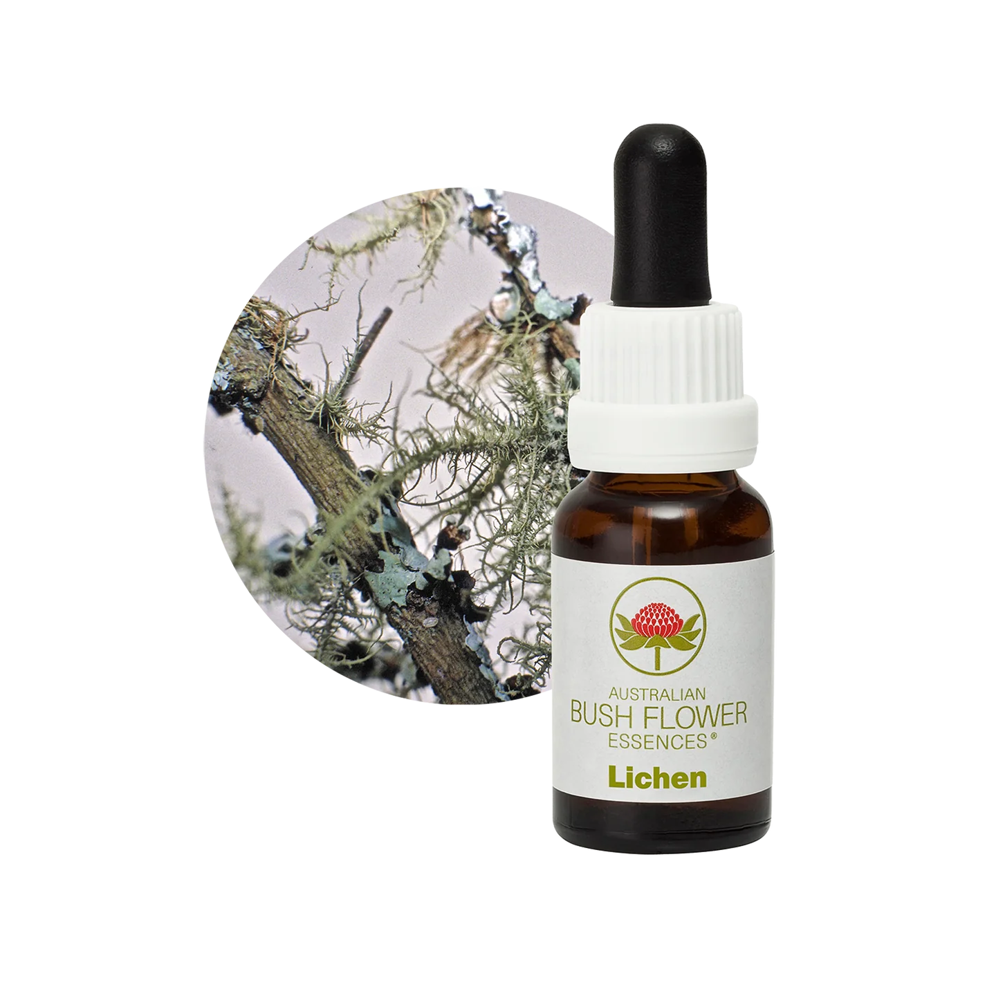Lichen 30ml image 0