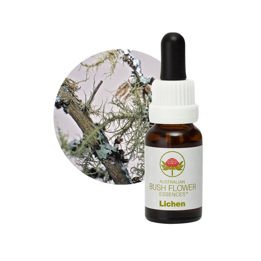 Lichen 30ml image 0