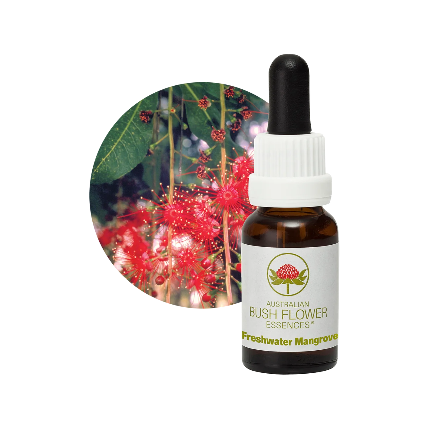 Freshwater Mangrove 30ml image 0