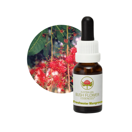 Freshwater Mangrove 30ml image 0
