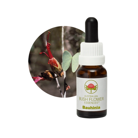 Bauhinia 30ml image 0