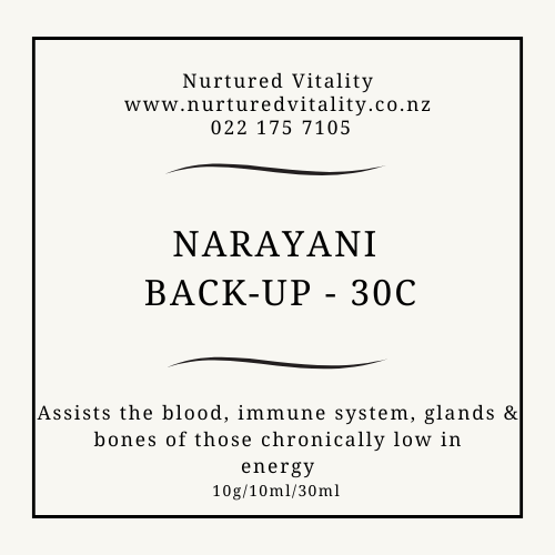 Narayani Back-Up 30C image 0